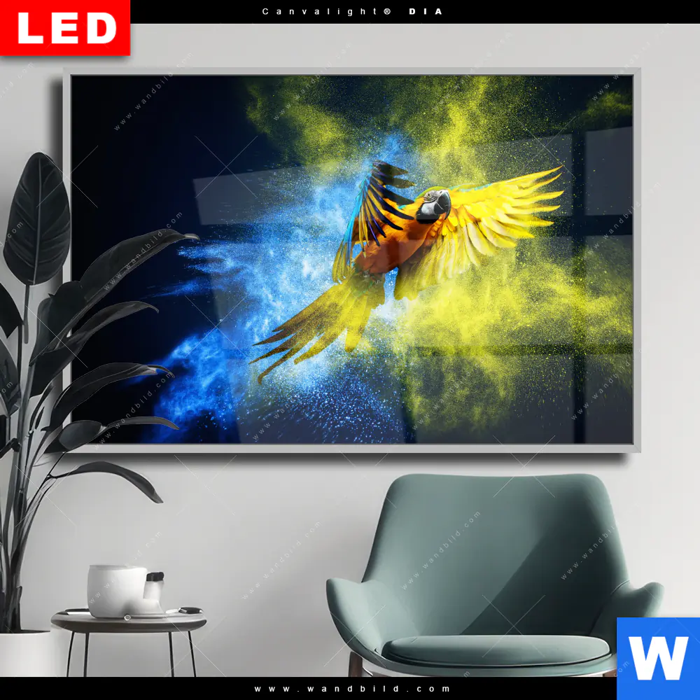 Wechselmotiv Acrylglas Canvalight® DIA | Papagei - Farbexplosion | Querformat