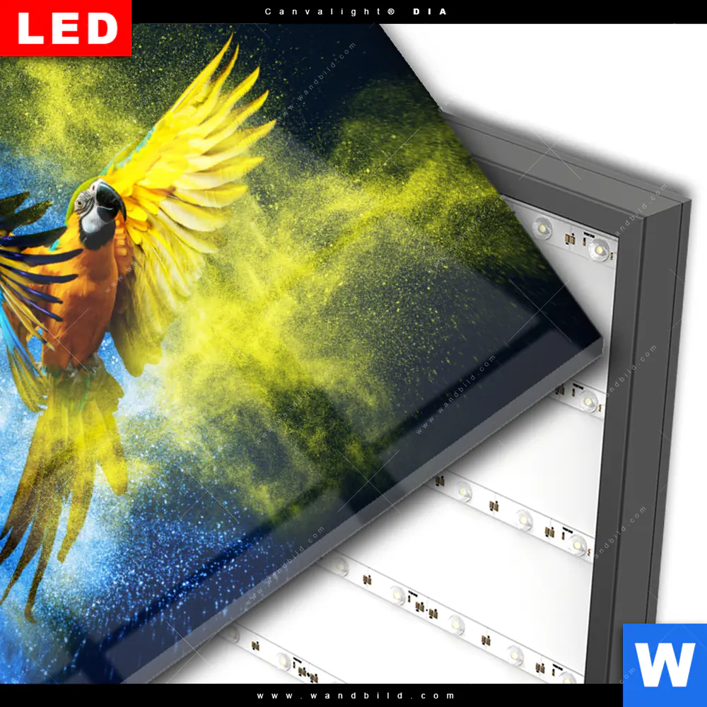 Wechselmotiv Acrylglas Canvalight® DIA | Papagei - Farbexplosion | Querformat - Image 3