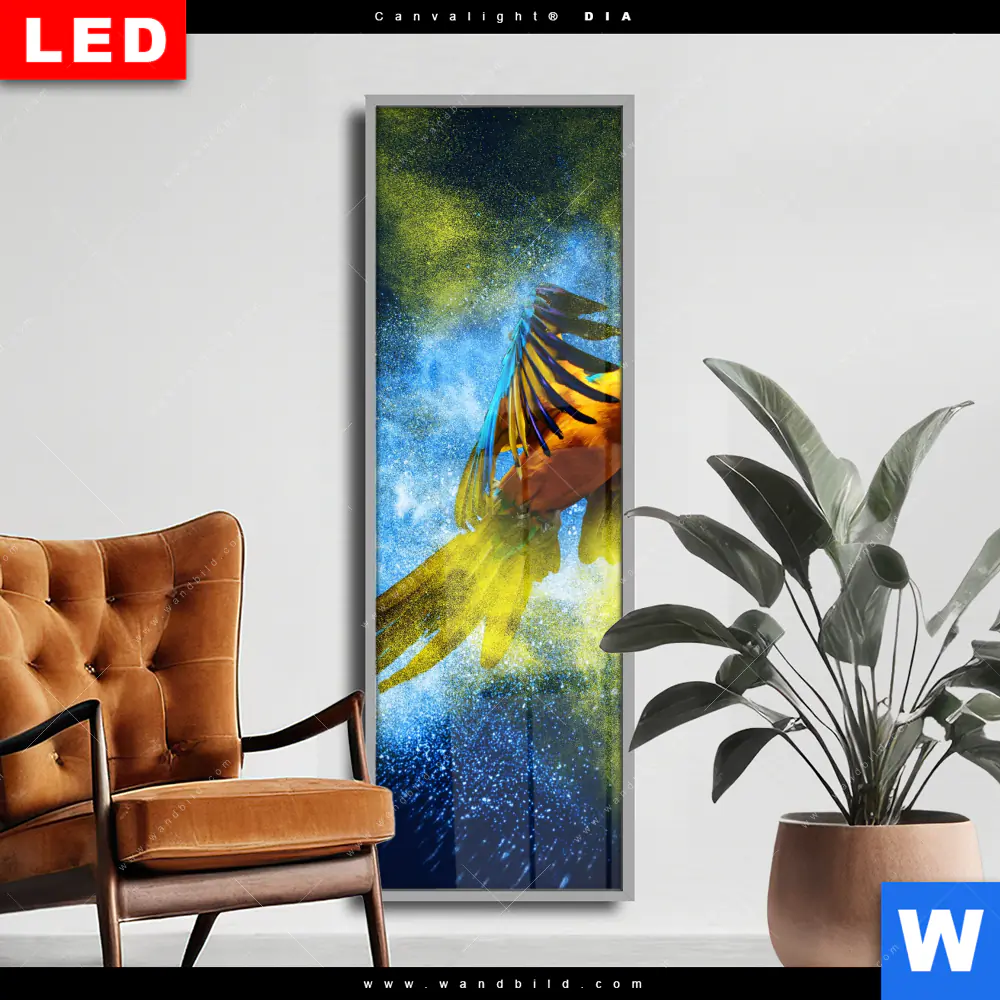 Wechselmotiv Acrylglas Canvalight® DIA | Papagei - Farbexplosion | Schmal