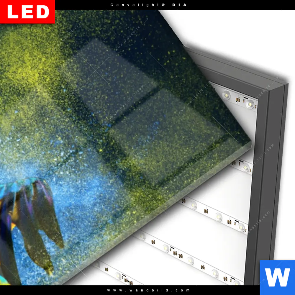 Wechselmotiv Acrylglas Canvalight® DIA | Papagei - Farbexplosion | Schmal - Image 3