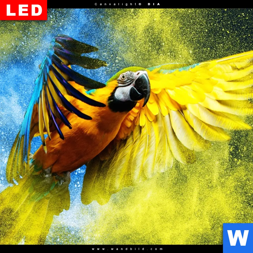 Wechselmotiv Acrylglas Canvalight® DIA | Papagei - Farbexplosion | Schmal - Image 4