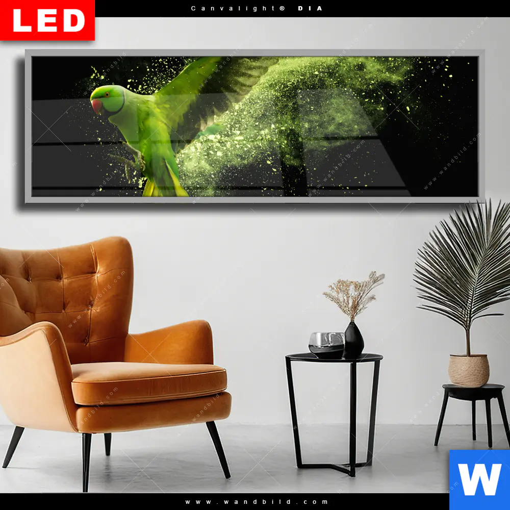 Wechselmotiv Acrylglas Canvalight® DIA | Papagei - grüne Farbexplosion | Panorama