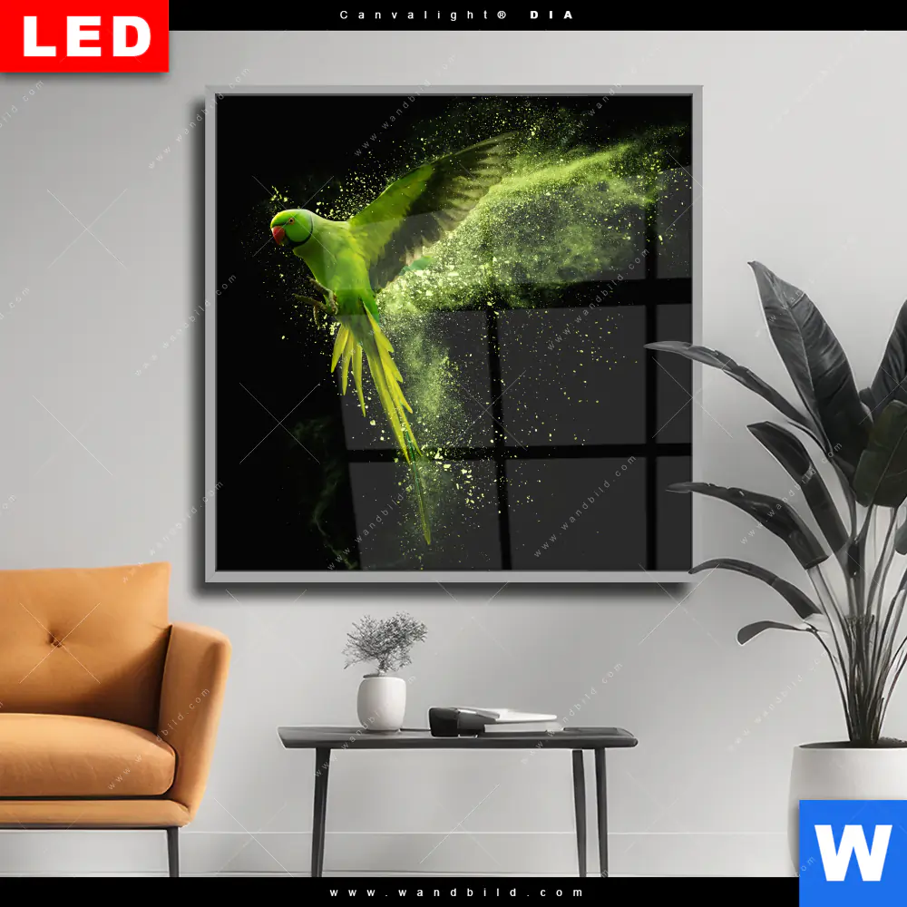 Wechselmotiv Acrylglas Canvalight® DIA | Papagei - grüne Farbexplosion | Quadrat
