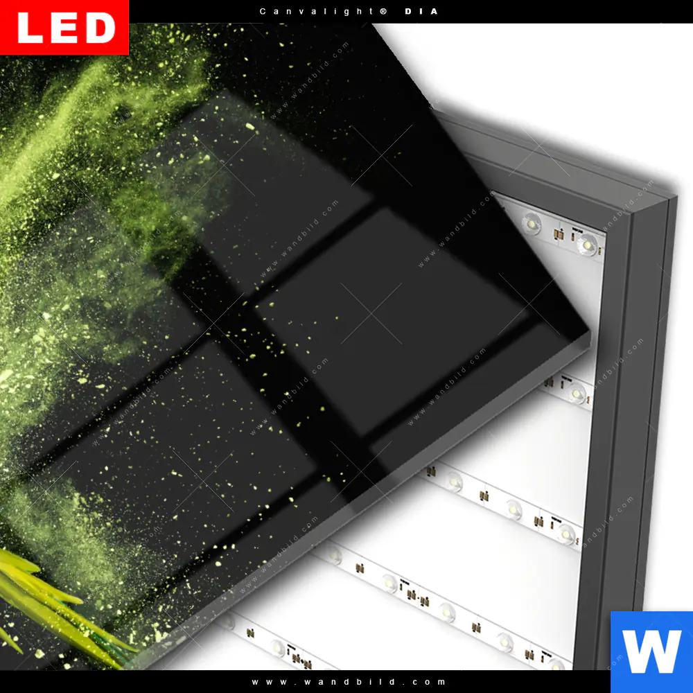 Wechselmotiv Acrylglas Canvalight® DIA | Papagei - grüne Farbexplosion | Querformat - Image 3