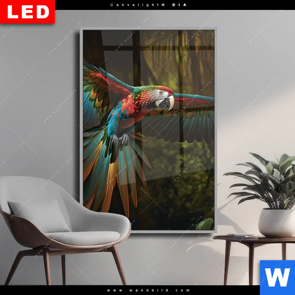 Wechselmotiv Acrylglas Canvalight® DIA | Papagei im Flug | Hochformat