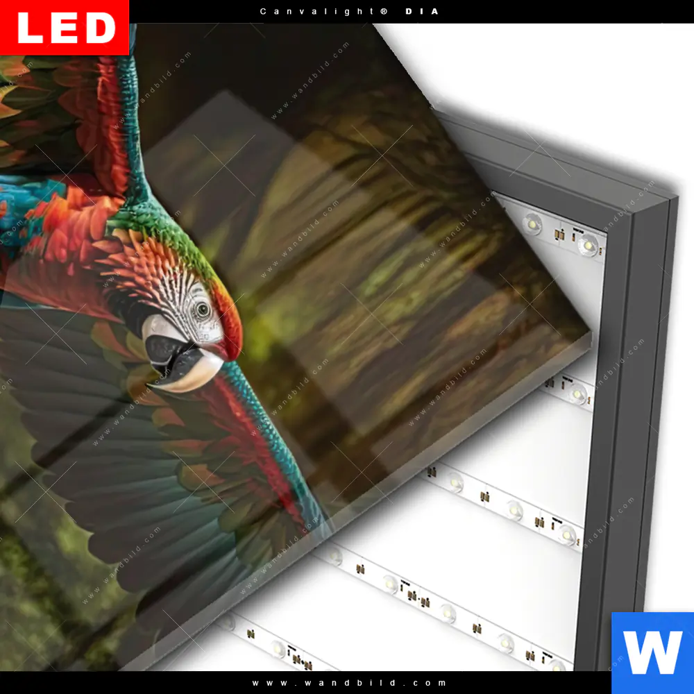 Wechselmotiv Acrylglas Canvalight® DIA | Papagei im Flug | Hochformat - Image 3