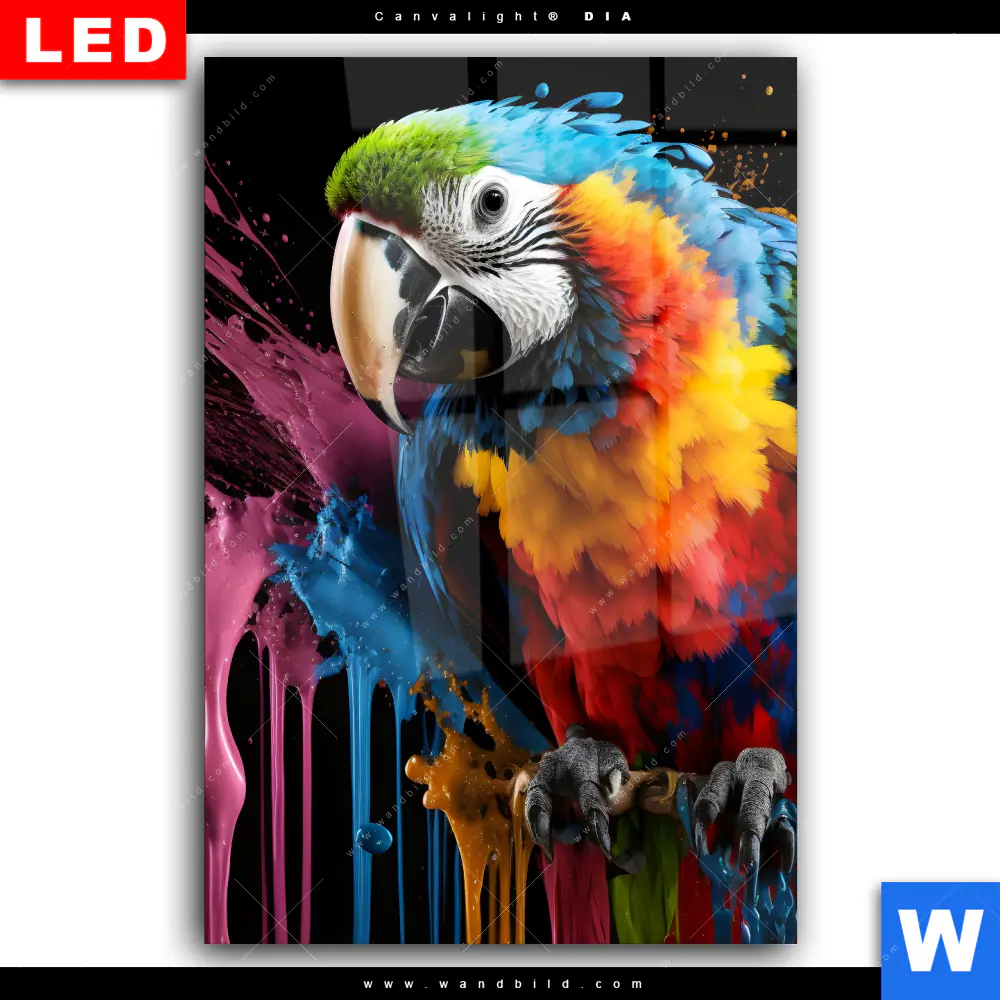 Wechselmotiv Acrylglas Canvalight® DIA | Papagei mit bunten Farbspritzern | Hochformat - Image 2
