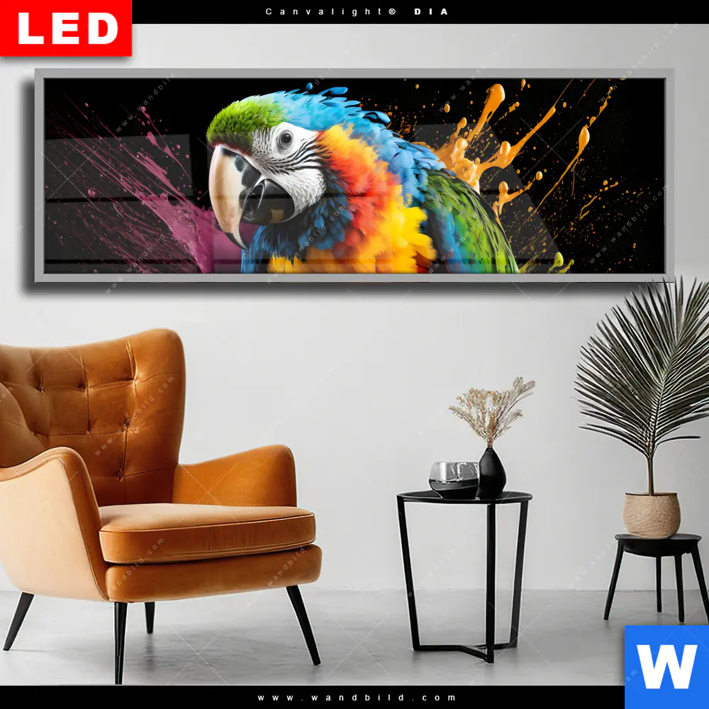 Wechselmotiv Acrylglas Canvalight® DIA | Papagei mit bunten Farbspritzern | Panorama