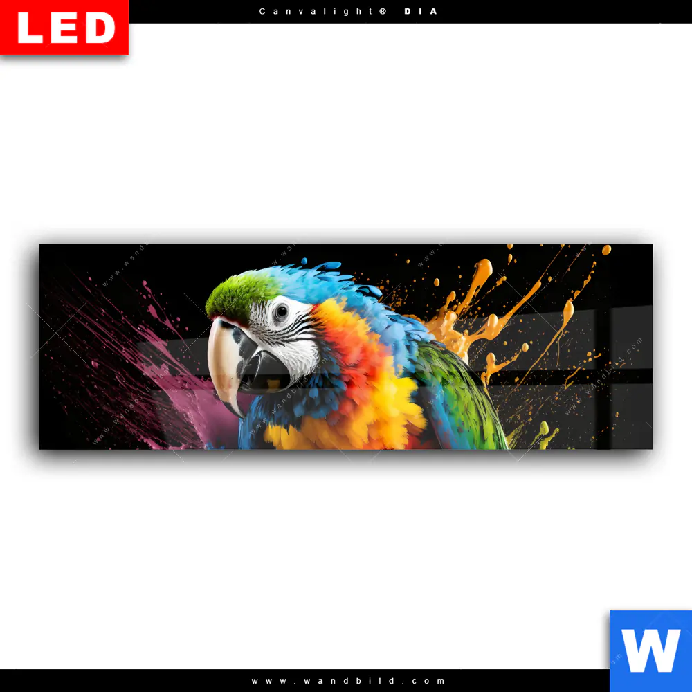 Wechselmotiv Acrylglas Canvalight® DIA | Papagei mit bunten Farbspritzern | Panorama - Image 2