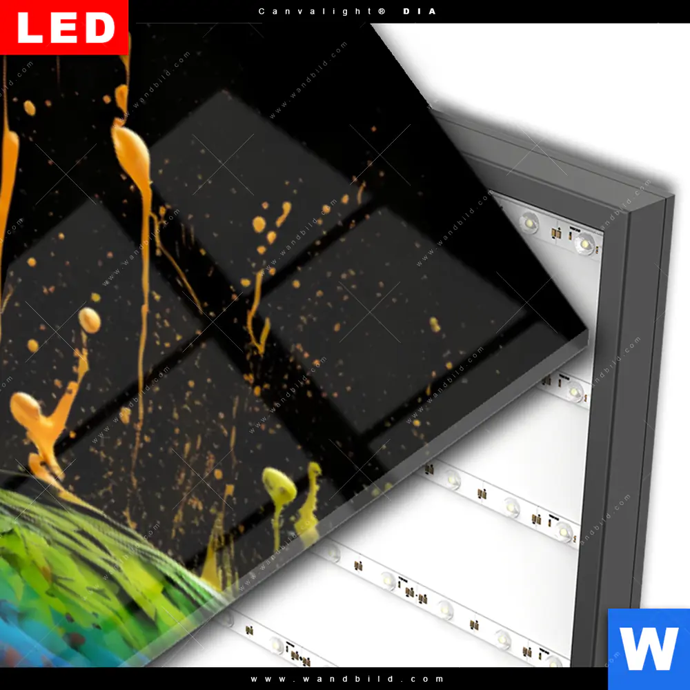 Wechselmotiv Acrylglas Canvalight® DIA | Papagei mit bunten Farbspritzern | Panorama - Image 3