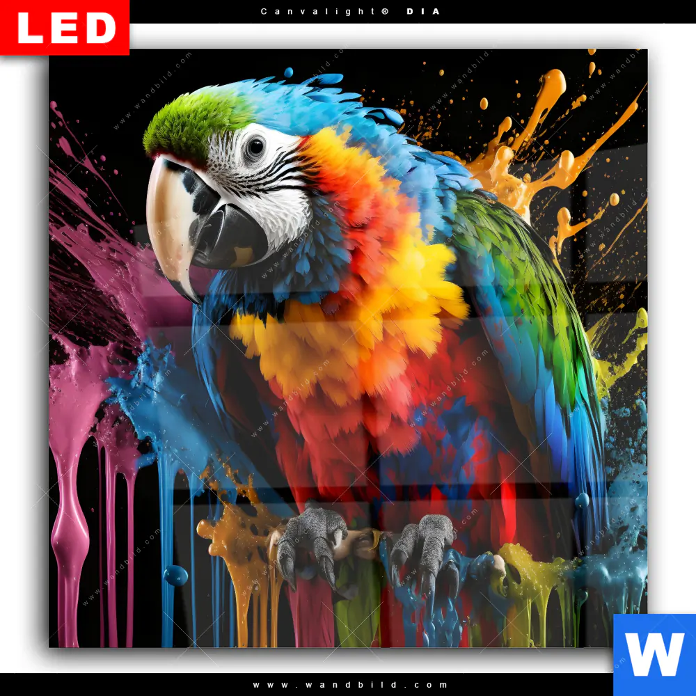 Wechselmotiv Acrylglas Canvalight® DIA | Papagei mit bunten Farbspritzern | Quadrat - Image 2