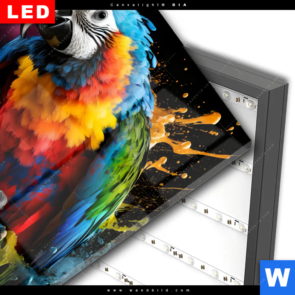 Wechselmotiv Acrylglas Canvalight® DIA | Papagei mit bunten Farbspritzern | Quadrat - Image 3