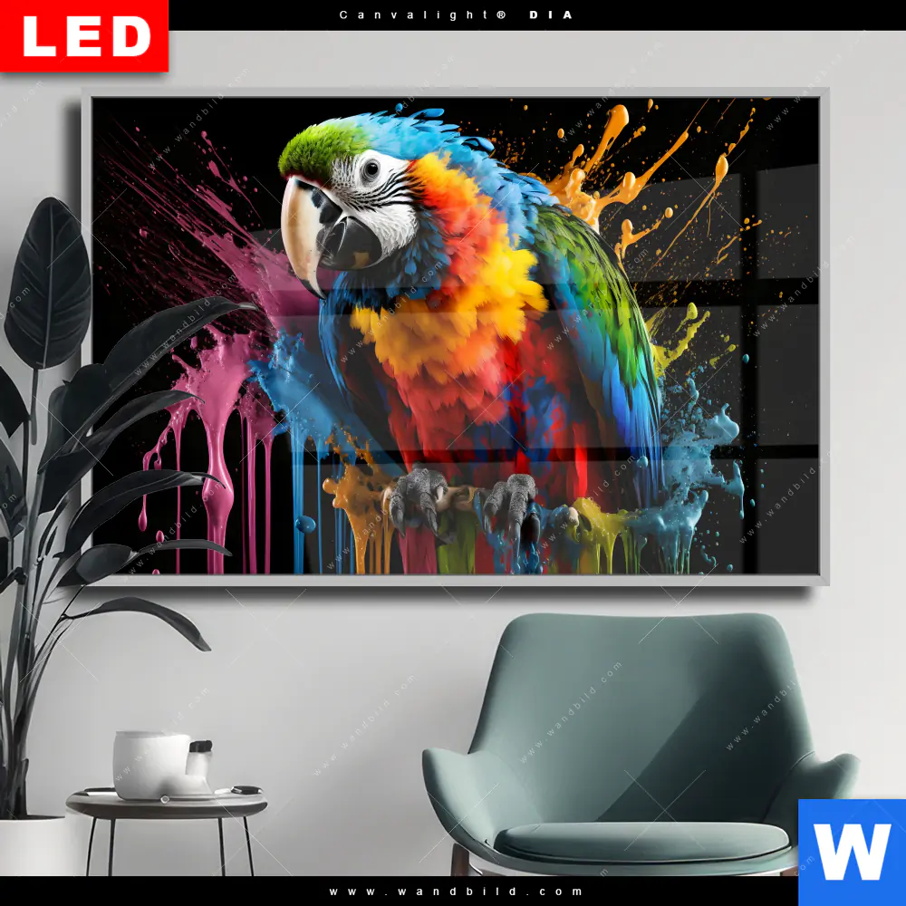 Wechselmotiv Acrylglas Canvalight® DIA | Papagei mit bunten Farbspritzern | Querformat