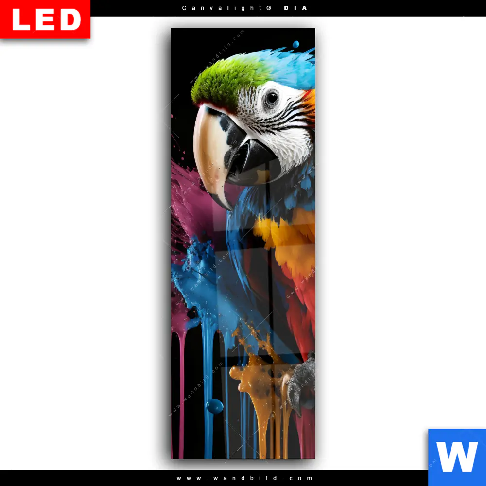 Wechselmotiv Acrylglas Canvalight® DIA | Papagei mit bunten Farbspritzern | Schmal - Image 2