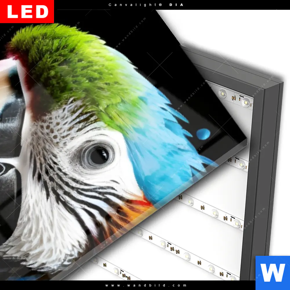 Wechselmotiv Acrylglas Canvalight® DIA | Papagei mit bunten Farbspritzern | Schmal - Image 3