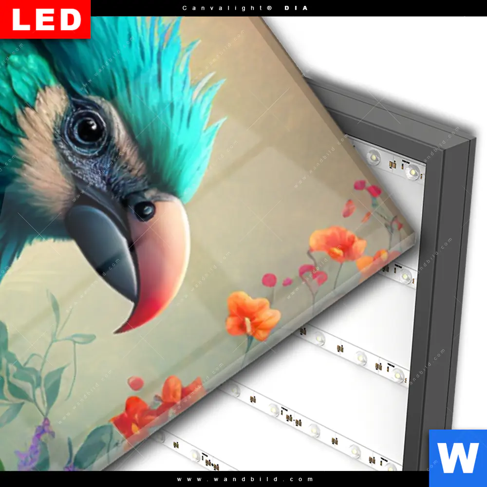 Wechselmotiv Acrylglas Canvalight® DIA | Papagei und tropischer Hibiskus | Schmal - Image 3