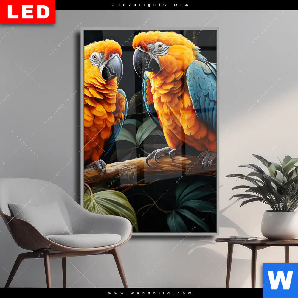 Wechselmotiv Acrylglas Canvalight® DIA | Papageien auf einem Ast | Hochformat