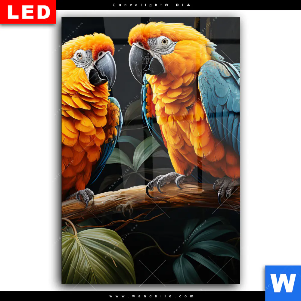 Wechselmotiv Acrylglas Canvalight® DIA | Papageien auf einem Ast | Hochformat - Image 2