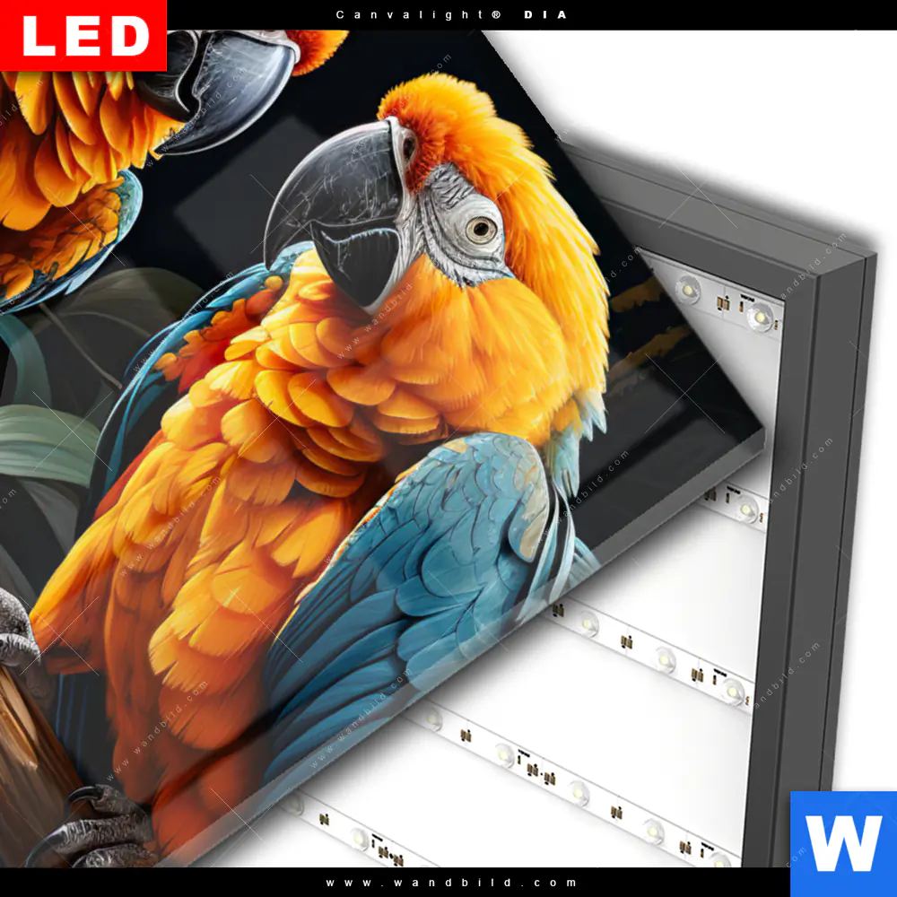Wechselmotiv Acrylglas Canvalight® DIA | Papageien auf einem Ast | Hochformat - Image 3