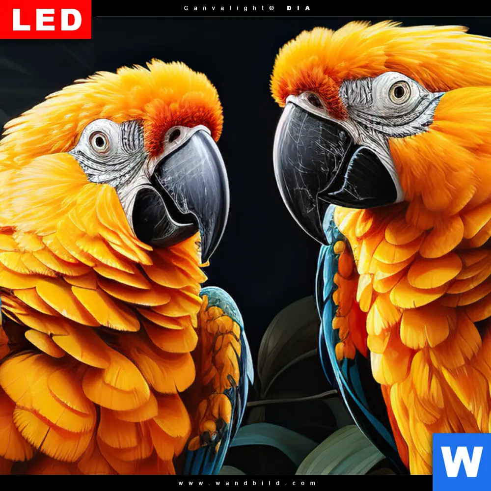 Wechselmotiv Acrylglas Canvalight® DIA | Papageien auf einem Ast | Hochformat - Image 4