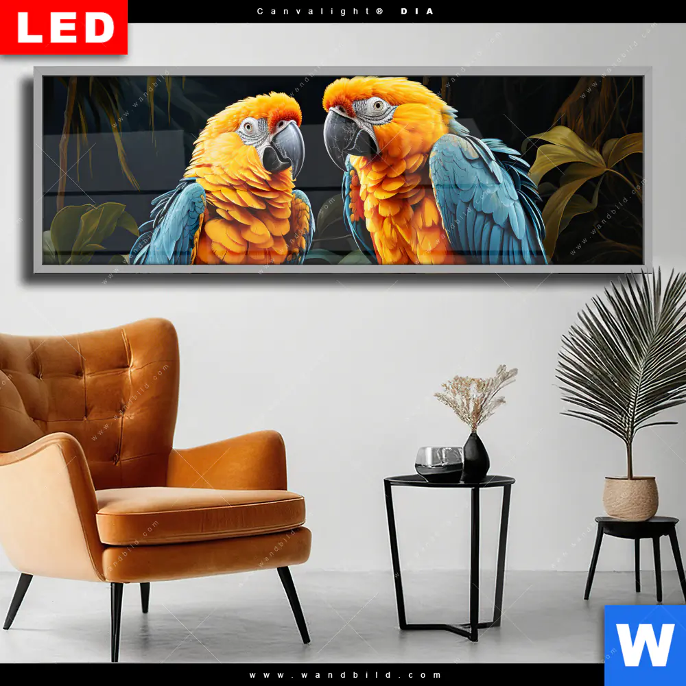 Wechselmotiv Acrylglas Canvalight® DIA | Papageien auf einem Ast | Panorama