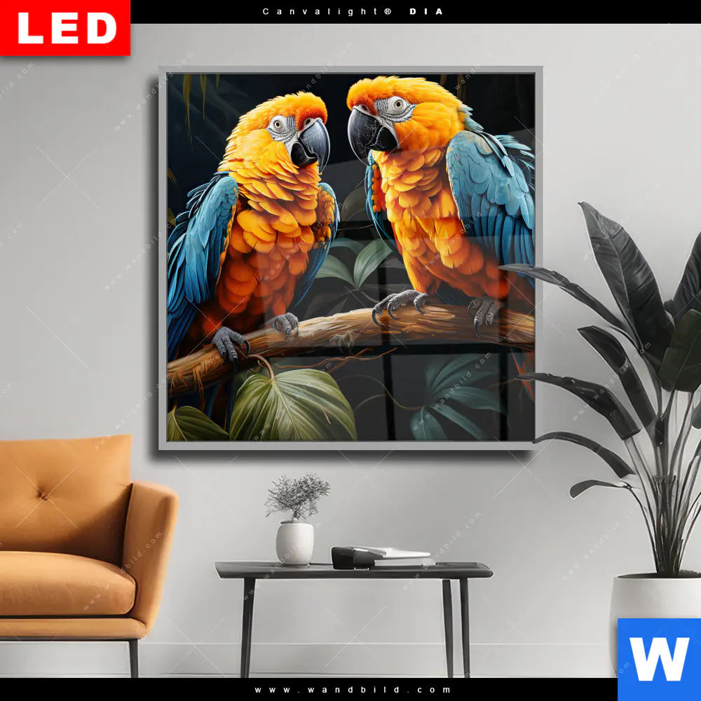 Wechselmotiv Acrylglas Canvalight® DIA | Papageien auf einem Ast | Quadrat