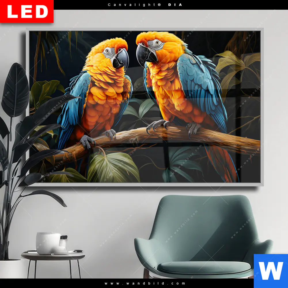 Wechselmotiv Acrylglas Canvalight® DIA | Papageien auf einem Ast | Querformat