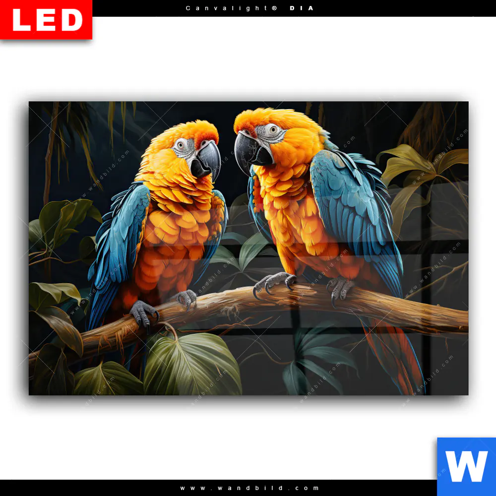 Wechselmotiv Acrylglas Canvalight® DIA | Papageien auf einem Ast | Querformat - Image 2