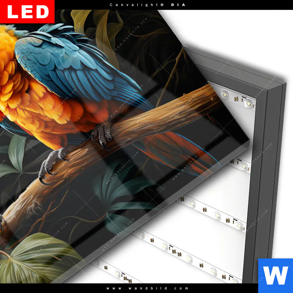 Wechselmotiv Acrylglas Canvalight® DIA | Papageien auf einem Ast | Querformat - Image 3
