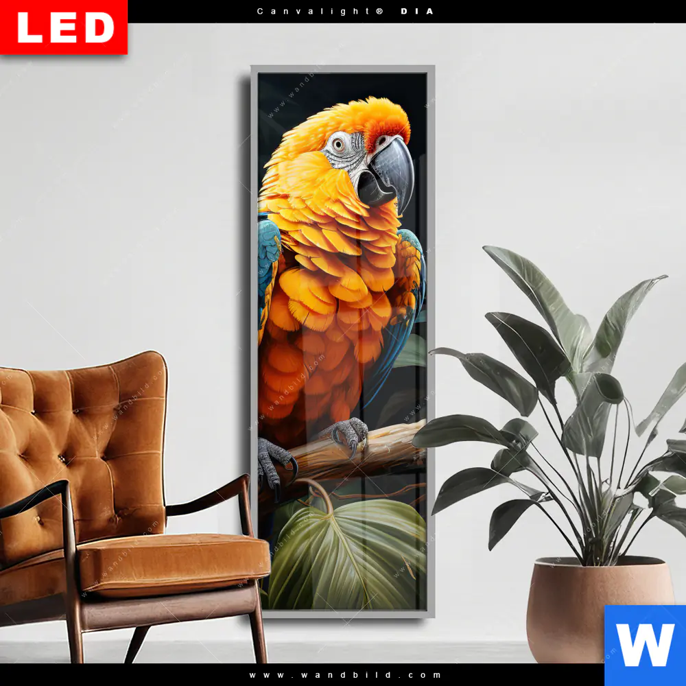 Wechselmotiv Acrylglas Canvalight® DIA | Papageien auf einem Ast | Schmal