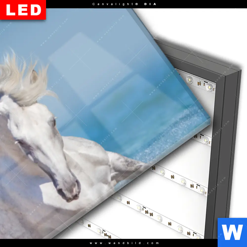 Wechselmotiv Acrylglas Canvalight® DIA | Pferdeherde am Strand | Panorama - Image 3