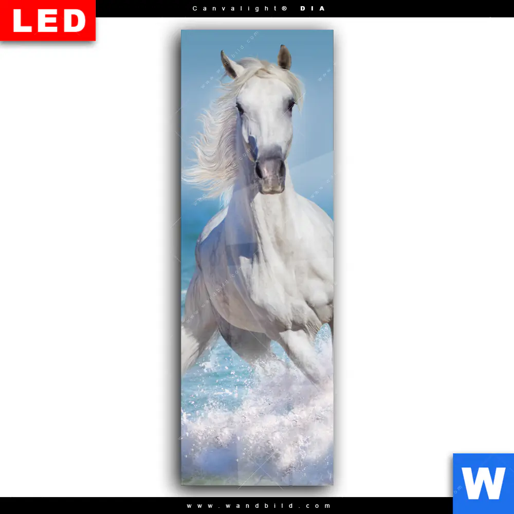 Wechselmotiv Acrylglas Canvalight® DIA | Pferdeherde am Strand | Schmal - Image 2