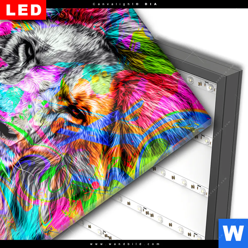 Wechselmotiv Acrylglas Canvalight® DIA | Pop Art Löwe No.1 | Quadrat - Image 3