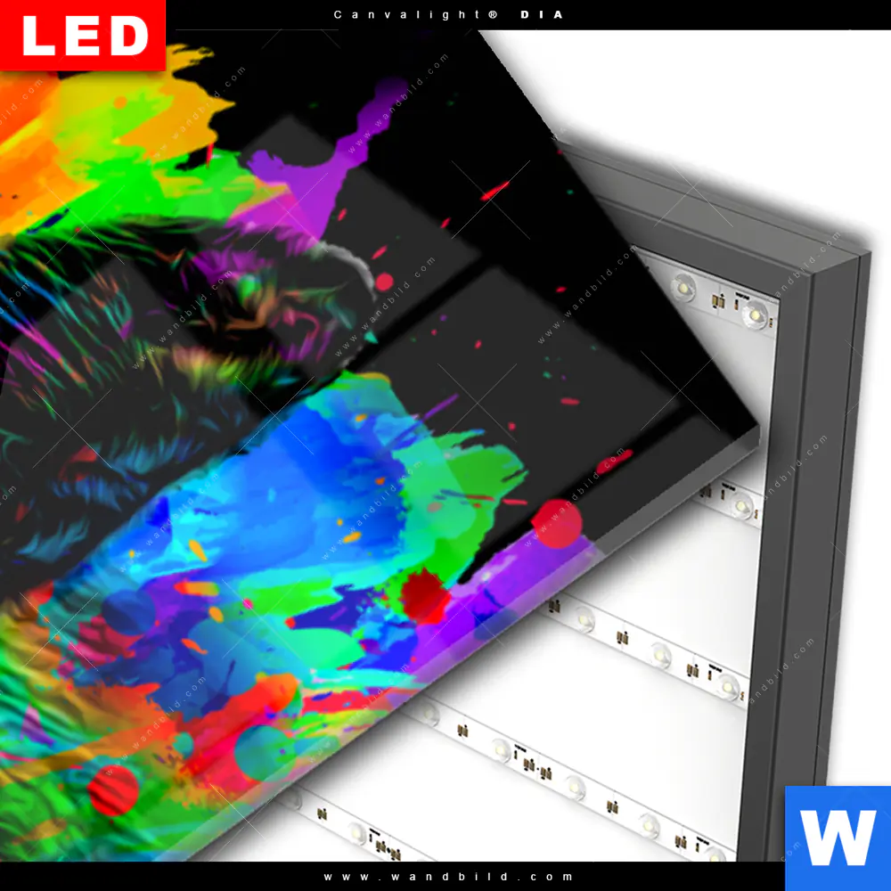 Wechselmotiv Acrylglas Canvalight® DIA | Pop Art Stier | Panorama - Image 3