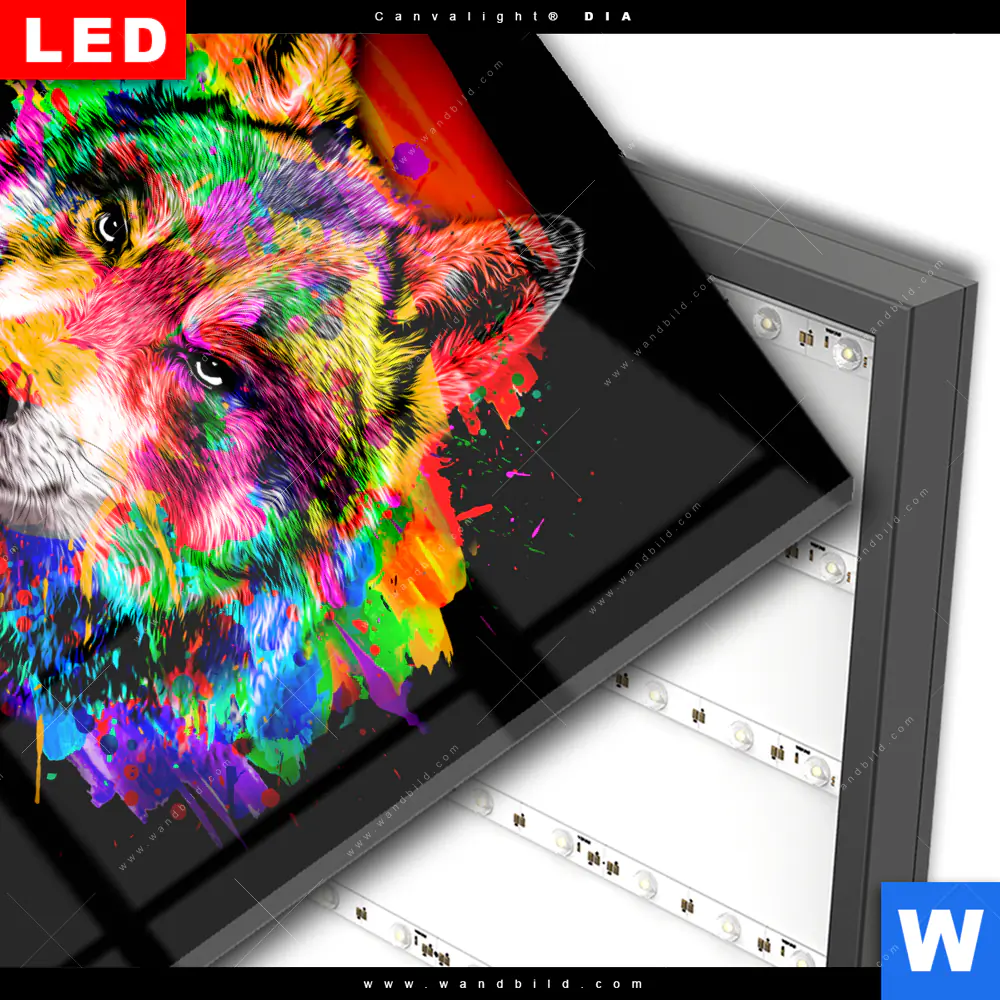 Wechselmotiv Acrylglas Canvalight® DIA | Pop Art Wolf | Quadrat - Image 3