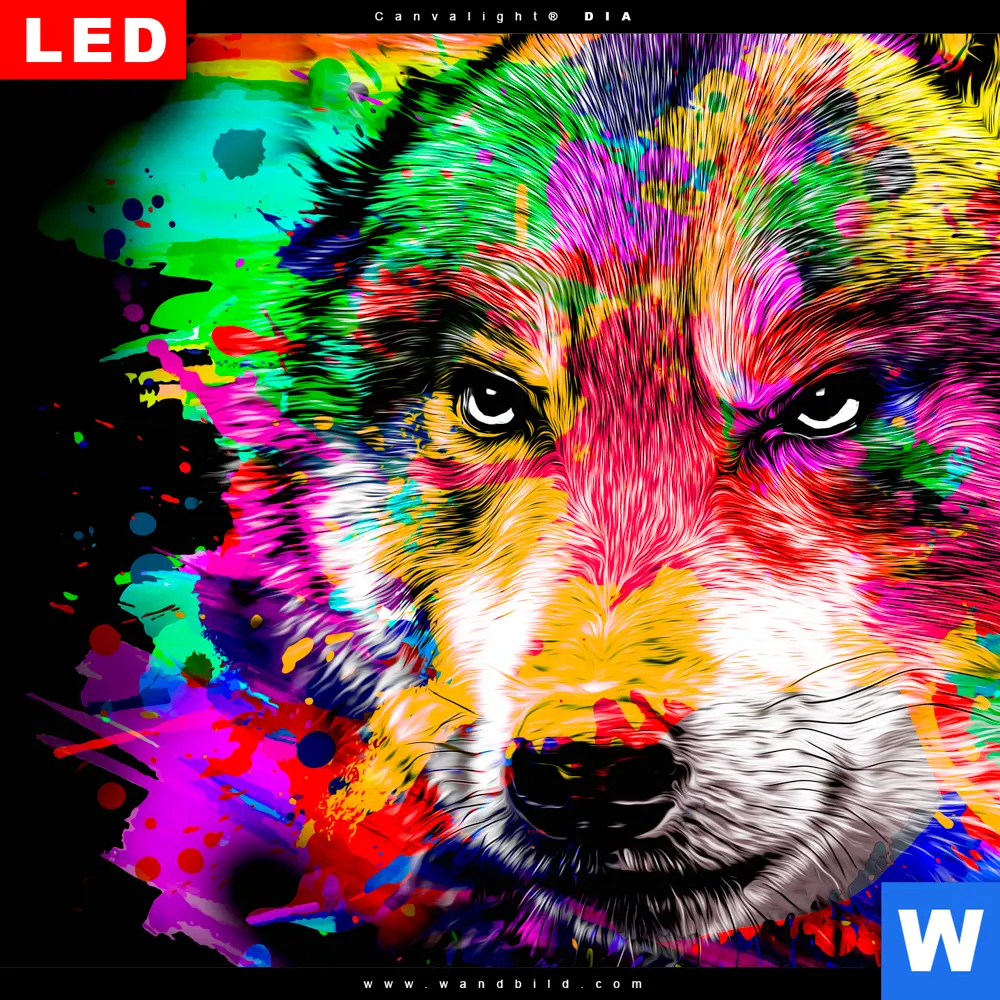 Wechselmotiv Acrylglas Canvalight® DIA | Pop Art Wolf | Quadrat - Image 4