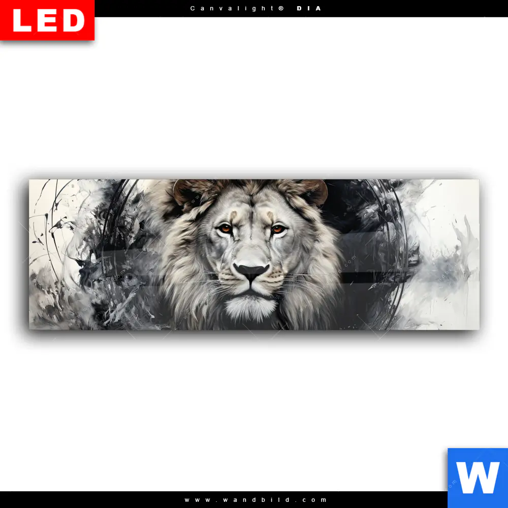 Wechselmotiv Acrylglas Canvalight® DIA | Porträt eines Löwen | Panorama - Image 2