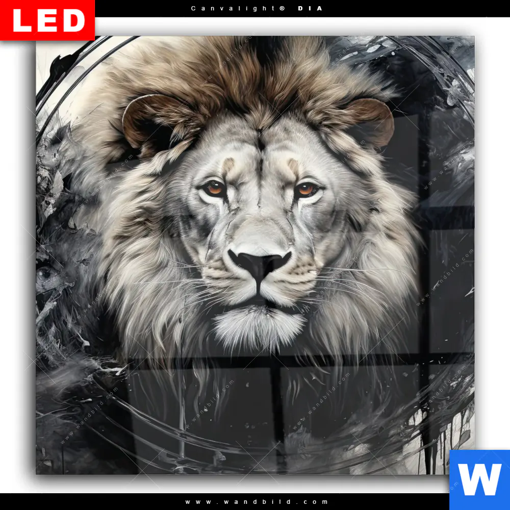 Wechselmotiv Acrylglas Canvalight® DIA | Porträt eines Löwen | Quadrat - Image 2