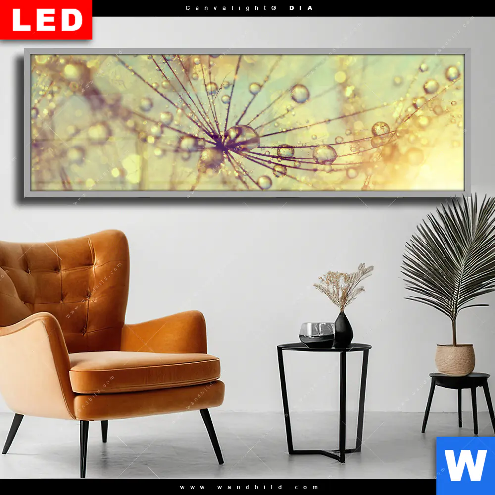 Wechselmotiv Acrylglas Canvalight® DIA | Pusteblume bei Sonnenuntergang | Panorama
