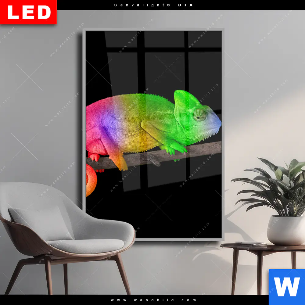 Wechselmotiv Acrylglas Canvalight® DIA | Regenbogen Chamäleon | Hochformat