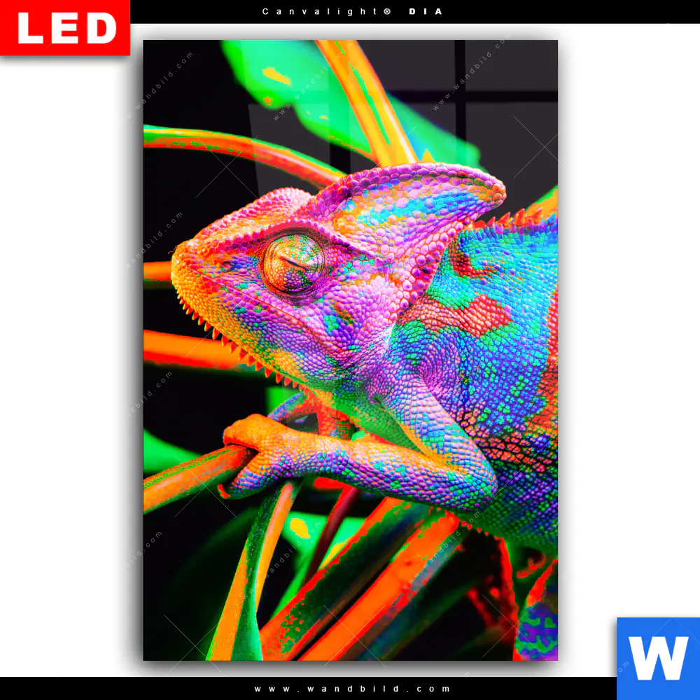 Wechselmotiv Acrylglas Canvalight® DIA | Regenbogen Chamäleon No.2 | Hochformat - Image 2