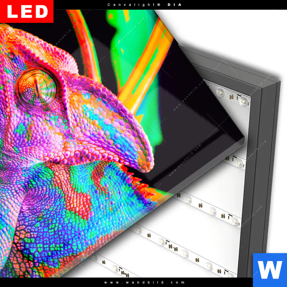 Wechselmotiv Acrylglas Canvalight® DIA | Regenbogen Chamäleon No.2 | Hochformat - Image 3