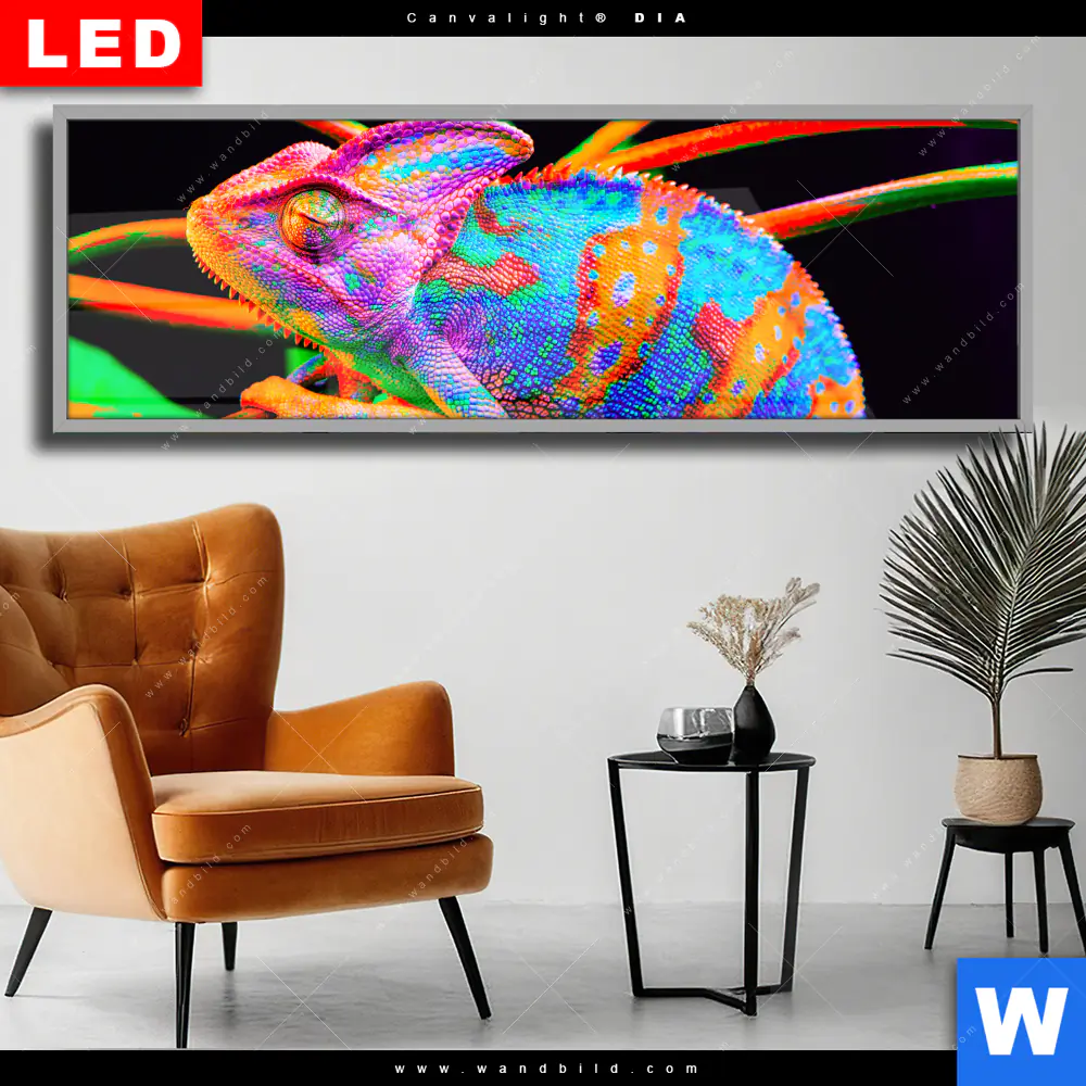 Wechselmotiv Acrylglas Canvalight® DIA | Regenbogen Chamäleon No.2 | Panorama