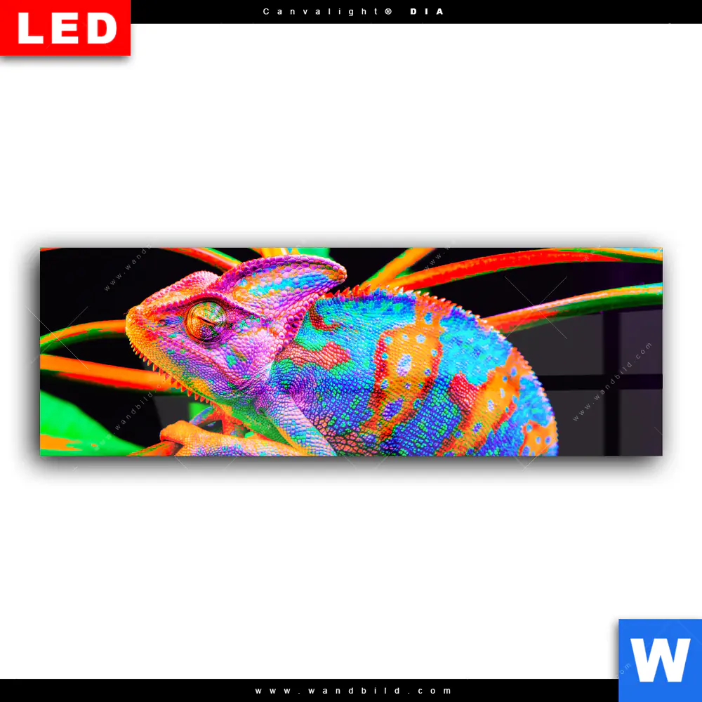 Wechselmotiv Acrylglas Canvalight® DIA | Regenbogen Chamäleon No.2 | Panorama - Image 2