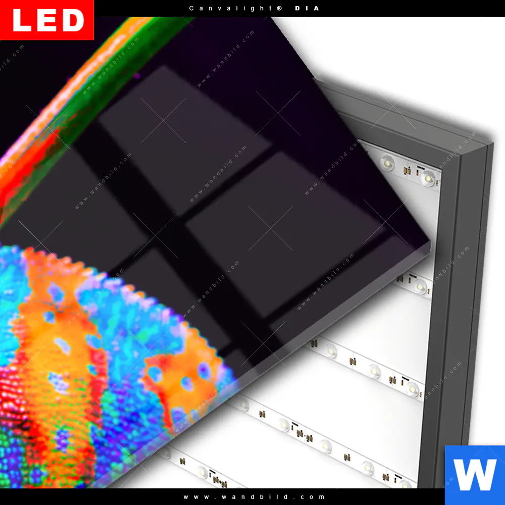 Wechselmotiv Acrylglas Canvalight® DIA | Regenbogen Chamäleon No.2 | Panorama - Image 3