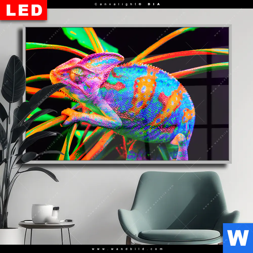 Wechselmotiv Acrylglas Canvalight® DIA | Regenbogen Chamäleon No.2 | Querformat