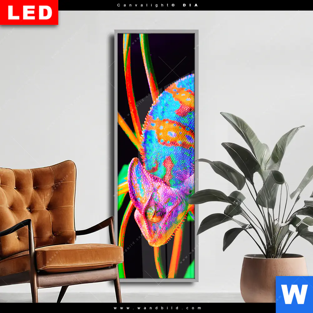 Wechselmotiv Acrylglas Canvalight® DIA | Regenbogen Chamäleon No.2 | Schmal