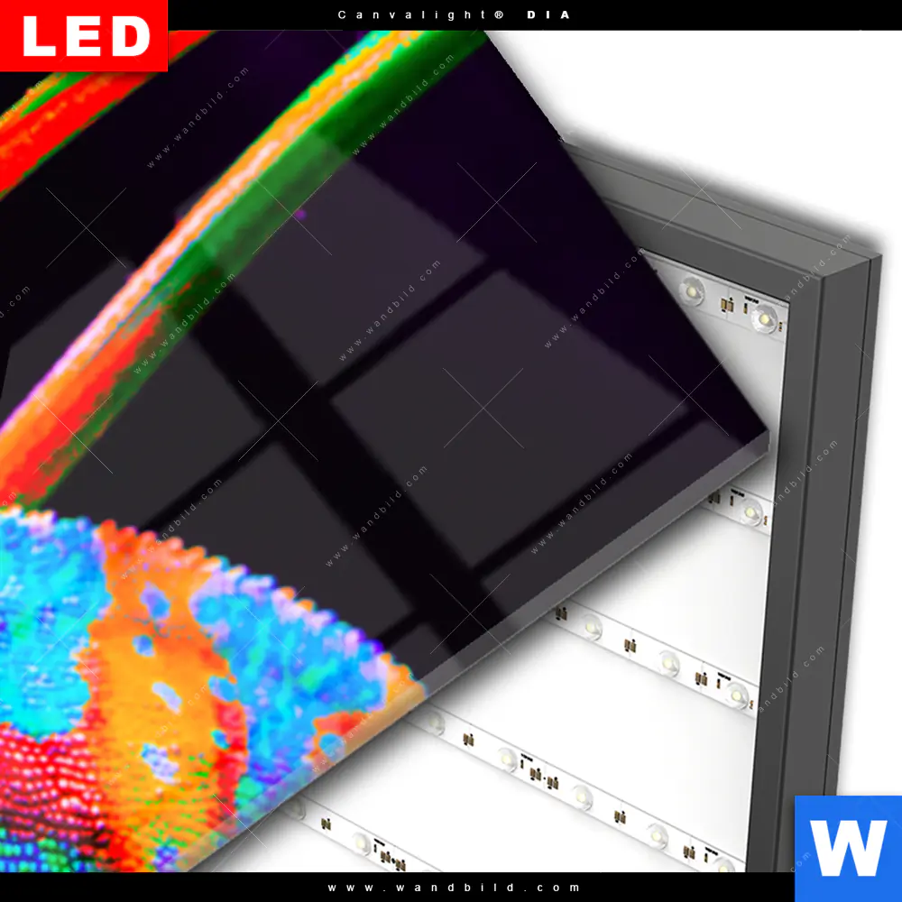 Wechselmotiv Acrylglas Canvalight® DIA | Regenbogen Chamäleon No.2 | Schmal - Image 3