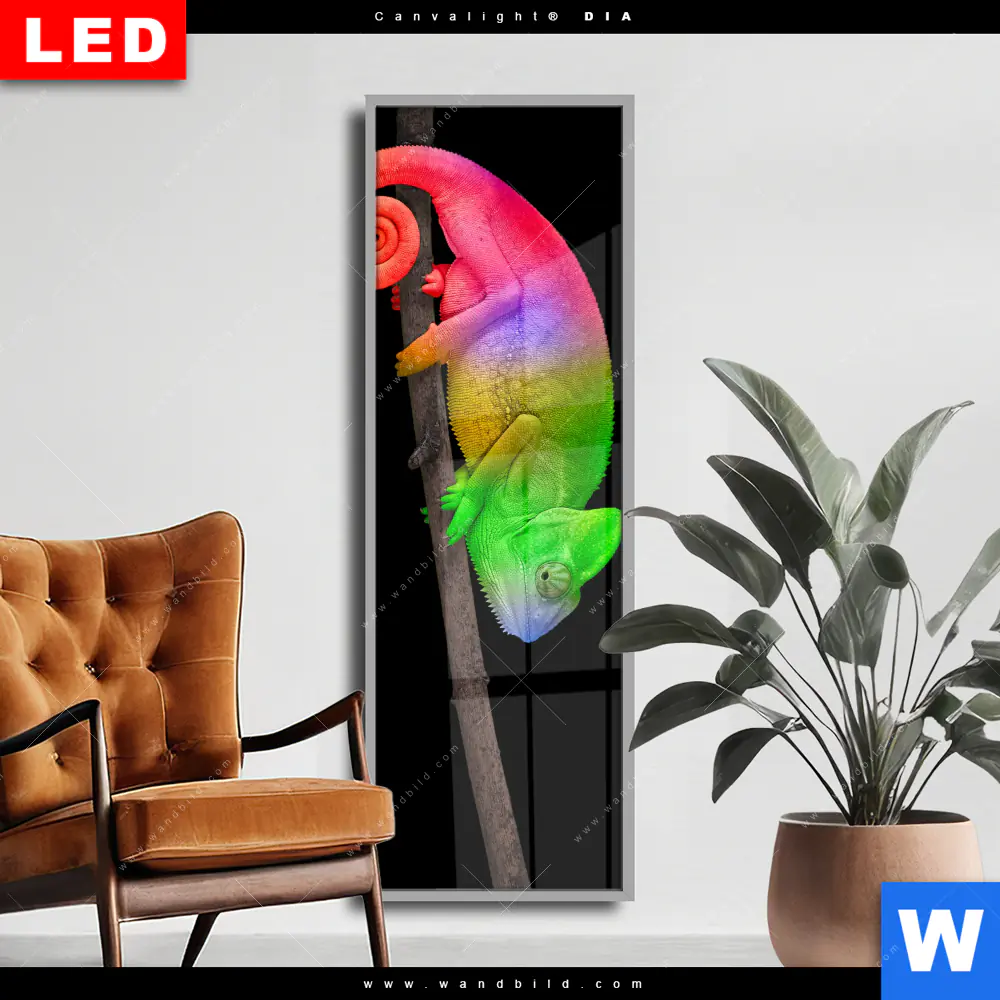 Wechselmotiv Acrylglas Canvalight® DIA | Regenbogen Chamäleon | Schmal