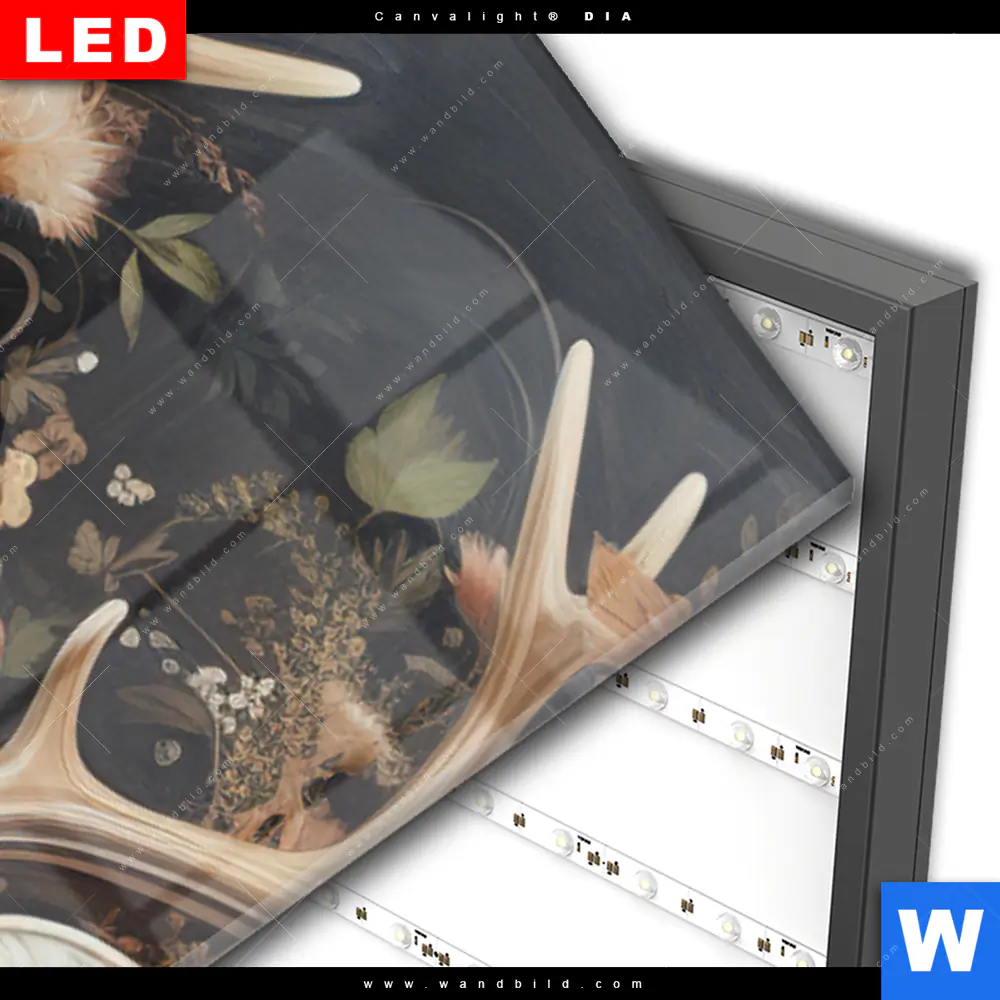Wechselmotiv Acrylglas Canvalight® DIA | Reh Blumen | Schmal - Image 3